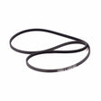 Courroie 2 MOOVYOO - FitnessBoutique